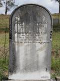 image of grave number 652788